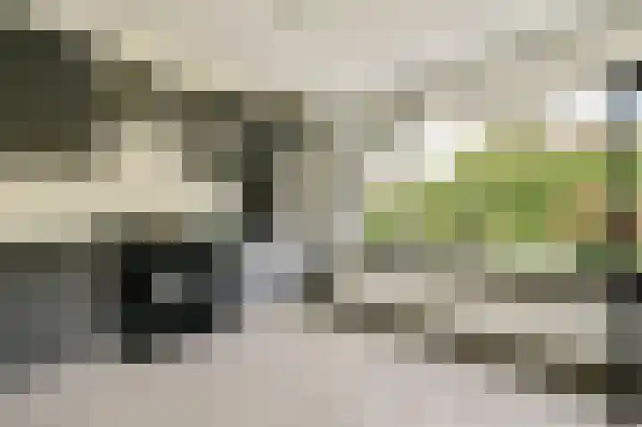 Graan voor Visch 17303 Hoofddorp thumbnail 8