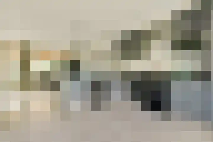 Graan voor Visch 17303 Hoofddorp thumbnail 9