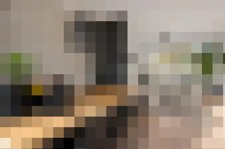 Graan voor Visch 17408 Hoofddorp thumbnail 10
