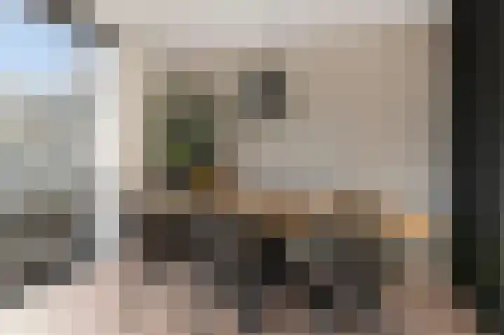 Graan voor Visch 17408 Hoofddorp thumbnail 11