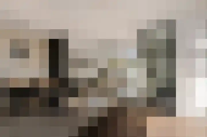 Graan voor Visch 17408 Hoofddorp thumbnail 14