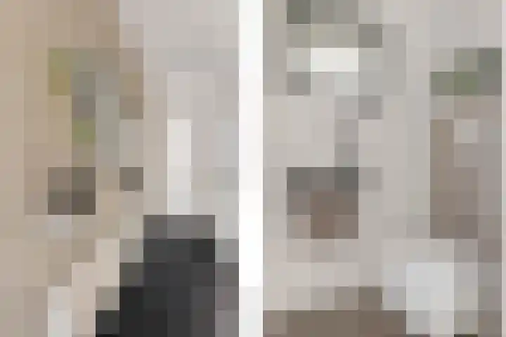 Graan voor Visch 17408 Hoofddorp thumbnail 16