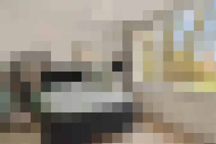 Graan voor Visch 17408 Hoofddorp thumbnail 21