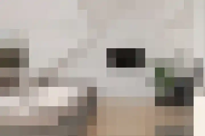 Graan voor Visch 17408 Hoofddorp thumbnail 29