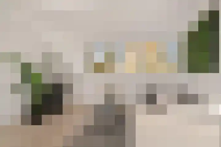 Graan voor Visch 17408 Hoofddorp thumbnail 30
