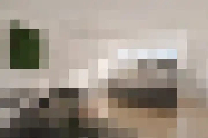 Graan voor Visch 17408 Hoofddorp thumbnail 31