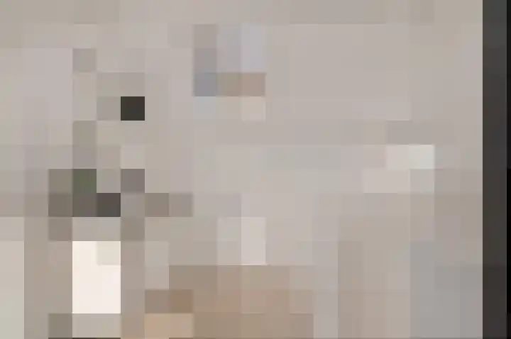 Graan voor Visch 17408 Hoofddorp thumbnail 33