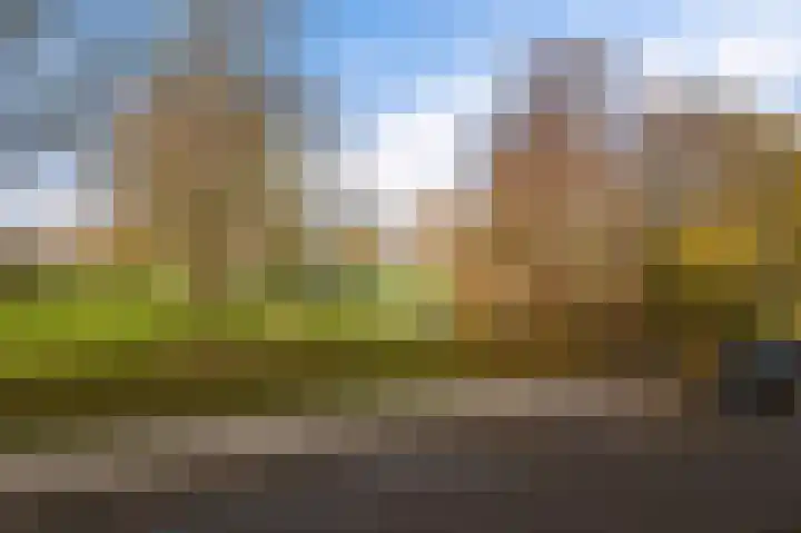 Graan voor Visch 17408 Hoofddorp thumbnail 35