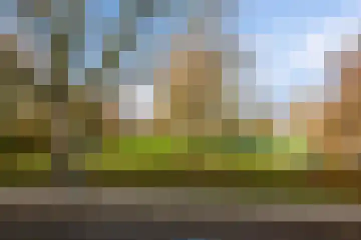 Graan voor Visch 17408 Hoofddorp thumbnail 36