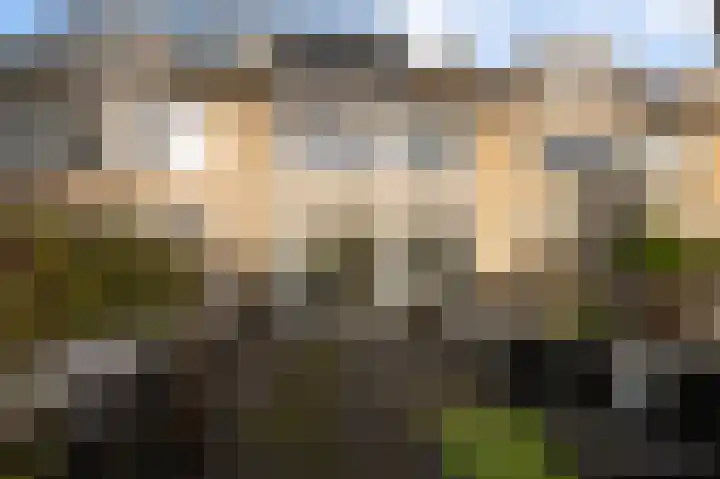 Graan voor Visch 17408 Hoofddorp thumbnail 37