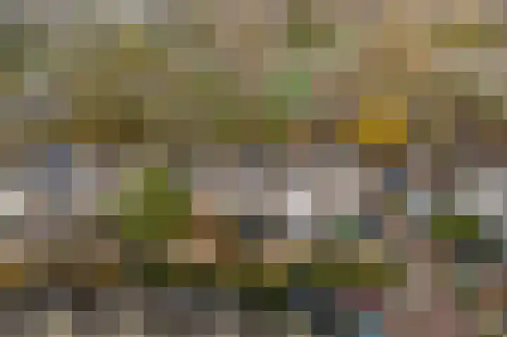 Graan voor Visch 17408 Hoofddorp thumbnail 41