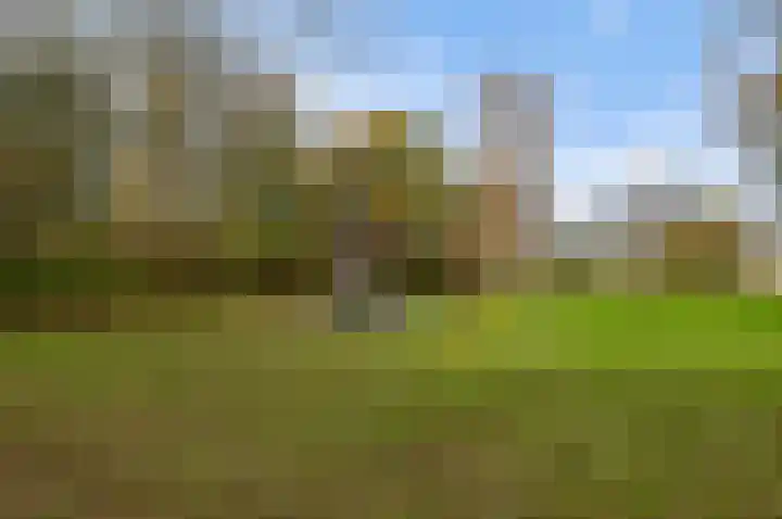 Graan voor Visch 17408 Hoofddorp thumbnail 42