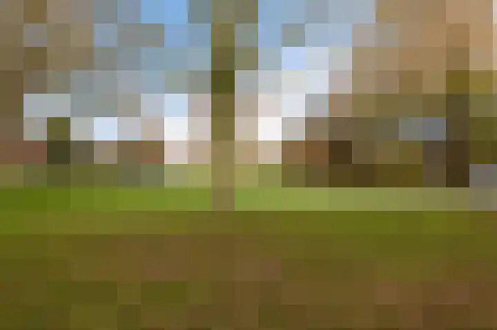 Graan voor Visch 17408 Hoofddorp thumbnail 43