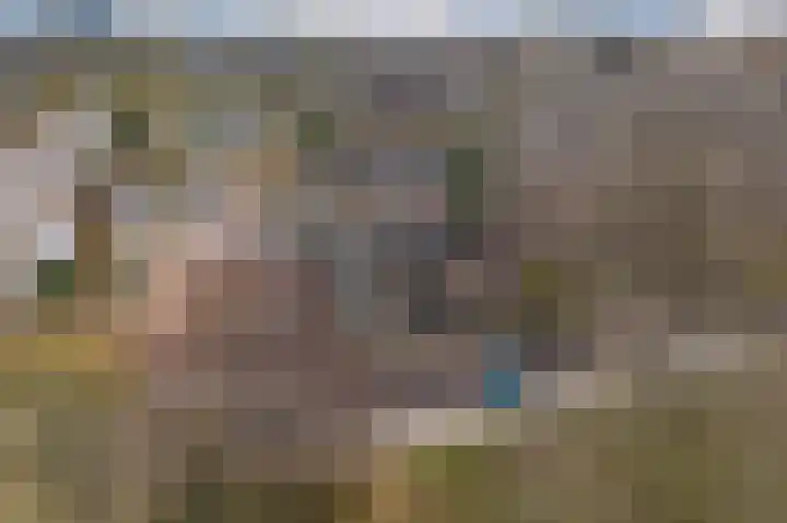 Graan voor Visch 17408 Hoofddorp thumbnail 5