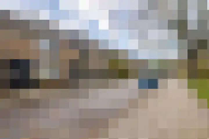 Graan voor Visch 17408 Hoofddorp thumbnail 6