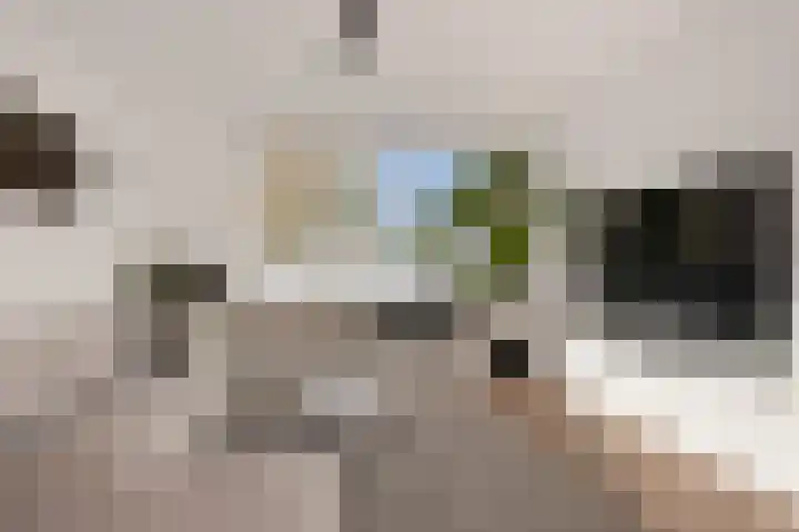 Graan voor Visch 17408 Hoofddorp thumbnail 8