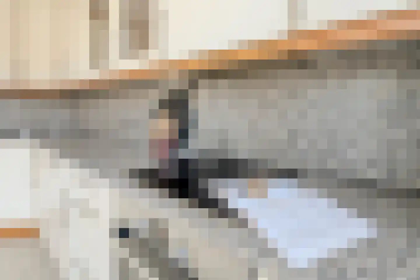 Graan voor Visch 18003 Hoofddorp thumbnail 16