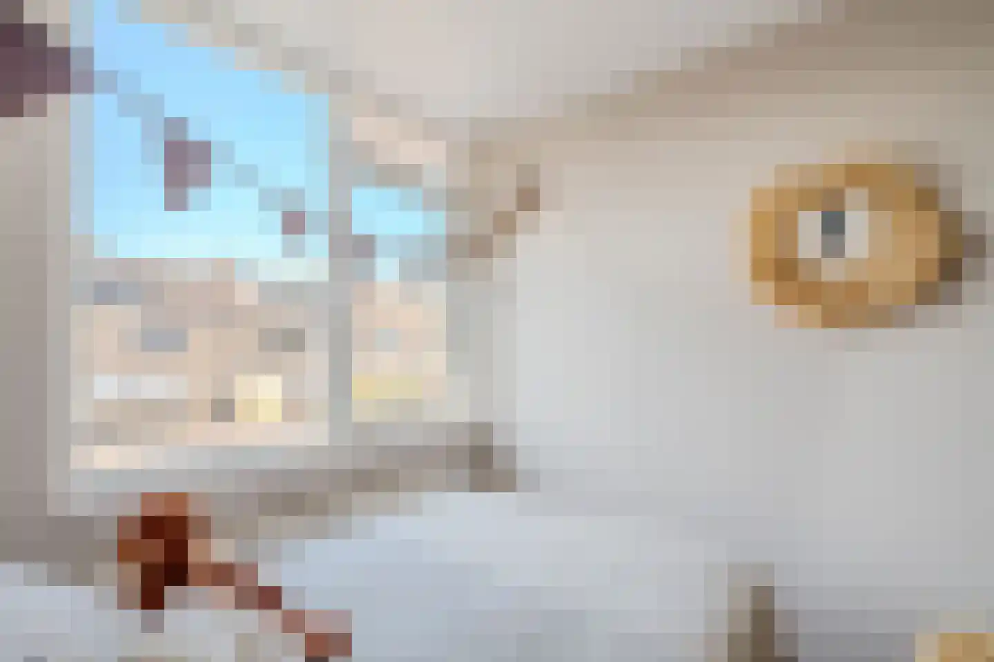 Graan voor Visch 18003 Hoofddorp thumbnail 27