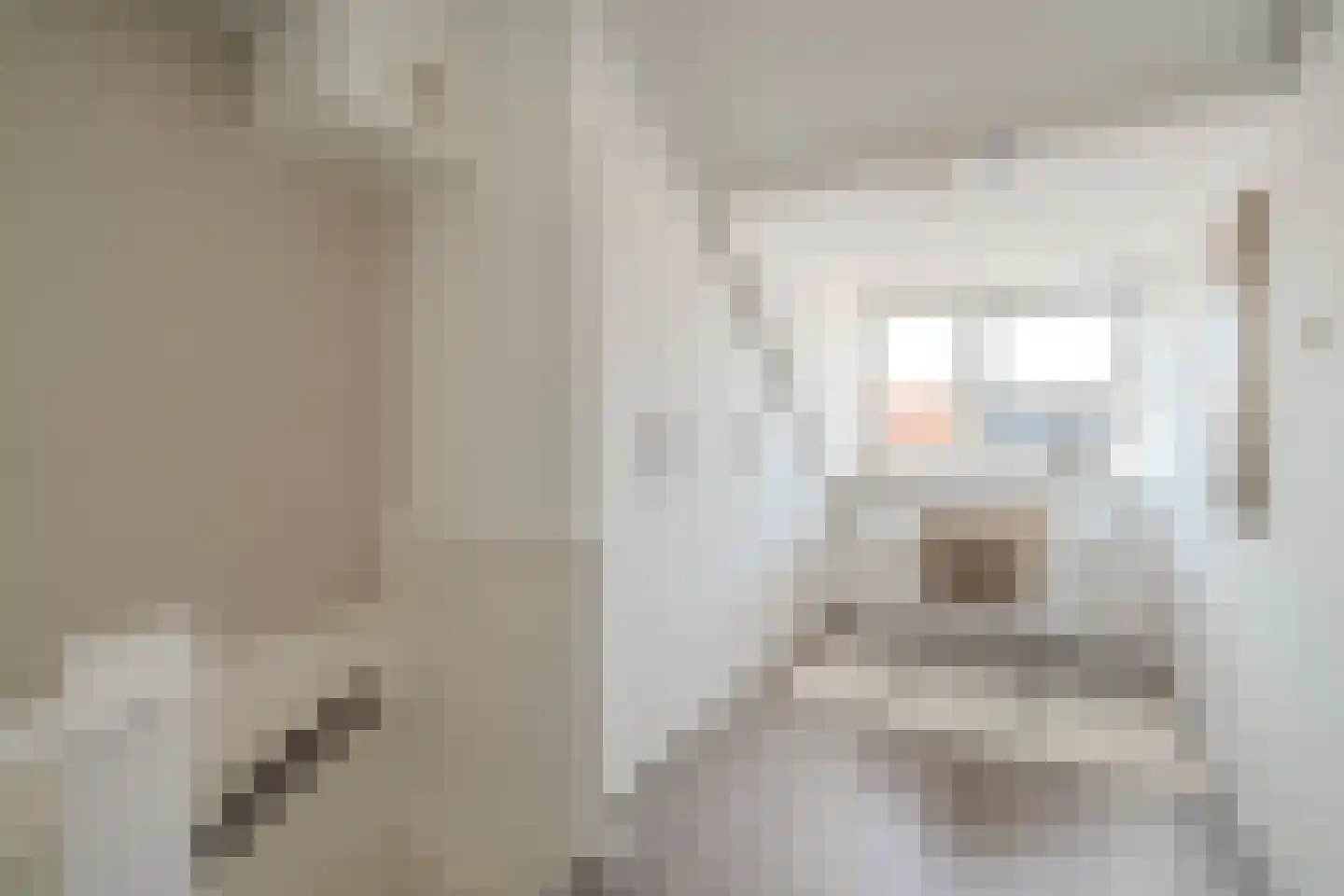 Graan voor Visch 18003 Hoofddorp thumbnail 38