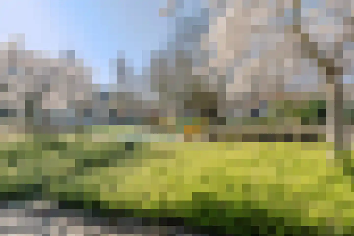 Graan voor Visch 18003 Hoofddorp thumbnail 61