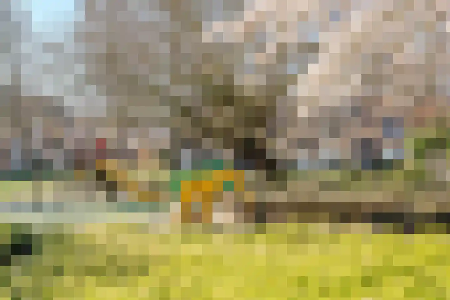 Graan voor Visch 18003 Hoofddorp thumbnail 62