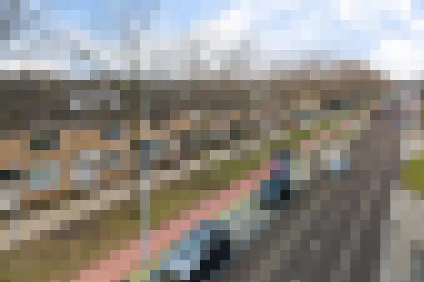 Graan voor Visch 18011 Hoofddorp thumbnail 38
