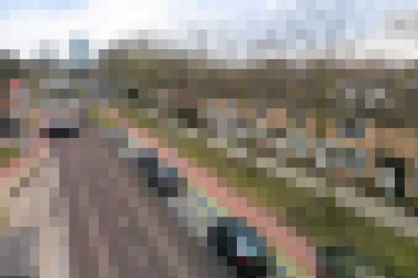 Graan voor Visch 18011 Hoofddorp thumbnail 39