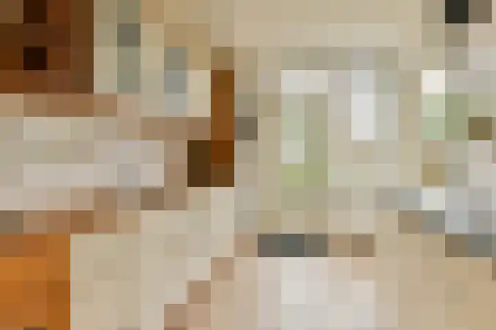 Graan voor Visch 18022 Hoofddorp thumbnail 11