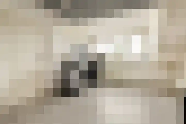 Graan voor Visch 18022 Hoofddorp thumbnail 18