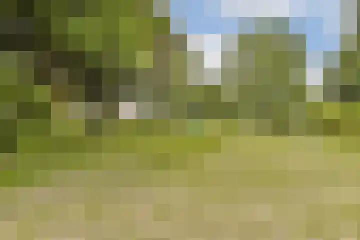 Graan voor Visch 18022 Hoofddorp thumbnail 23