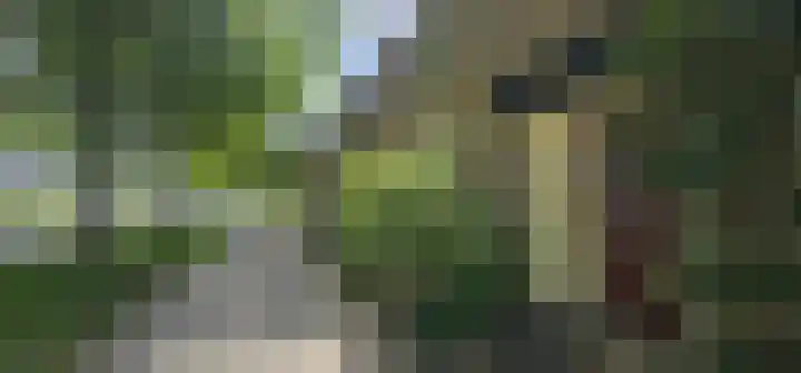 Graan voor Visch 18022 Hoofddorp thumbnail 4