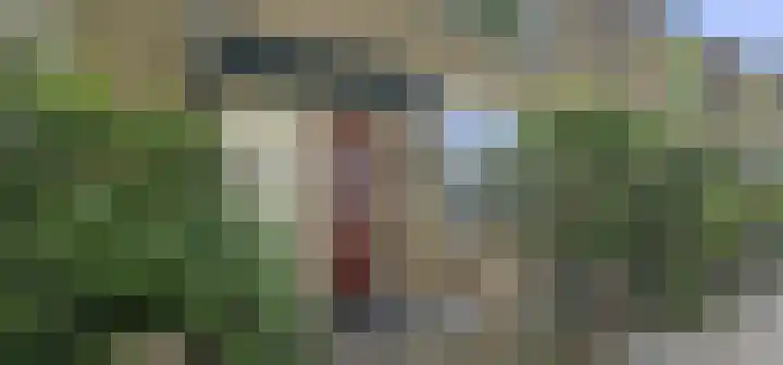 Graan voor Visch 18022 Hoofddorp thumbnail 5