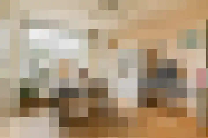 Graan voor Visch 18022 Hoofddorp thumbnail 8