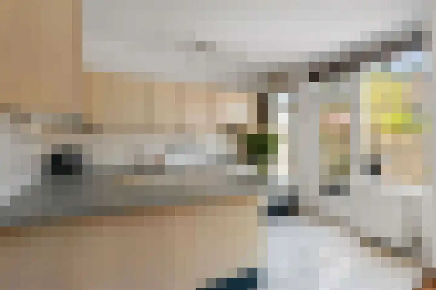 Graan voor Visch 18044 Hoofddorp thumbnail 12