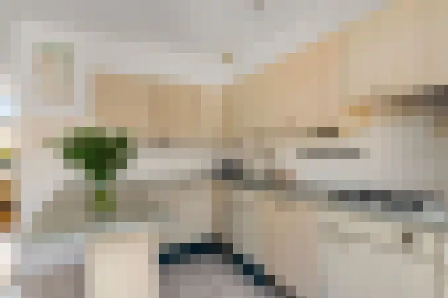 Graan voor Visch 18044 Hoofddorp thumbnail 13