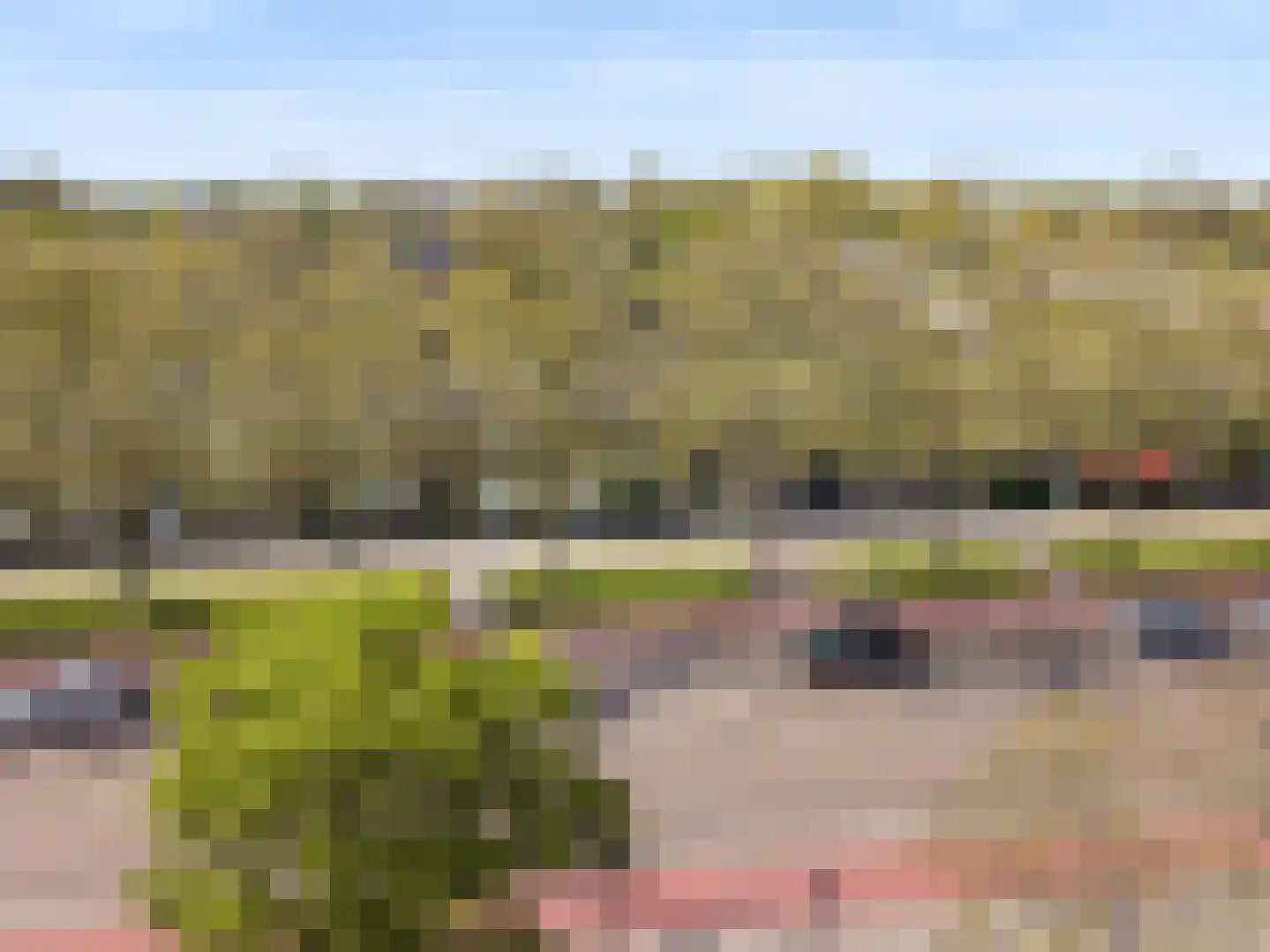Graan voor Visch 18044 Hoofddorp thumbnail 34