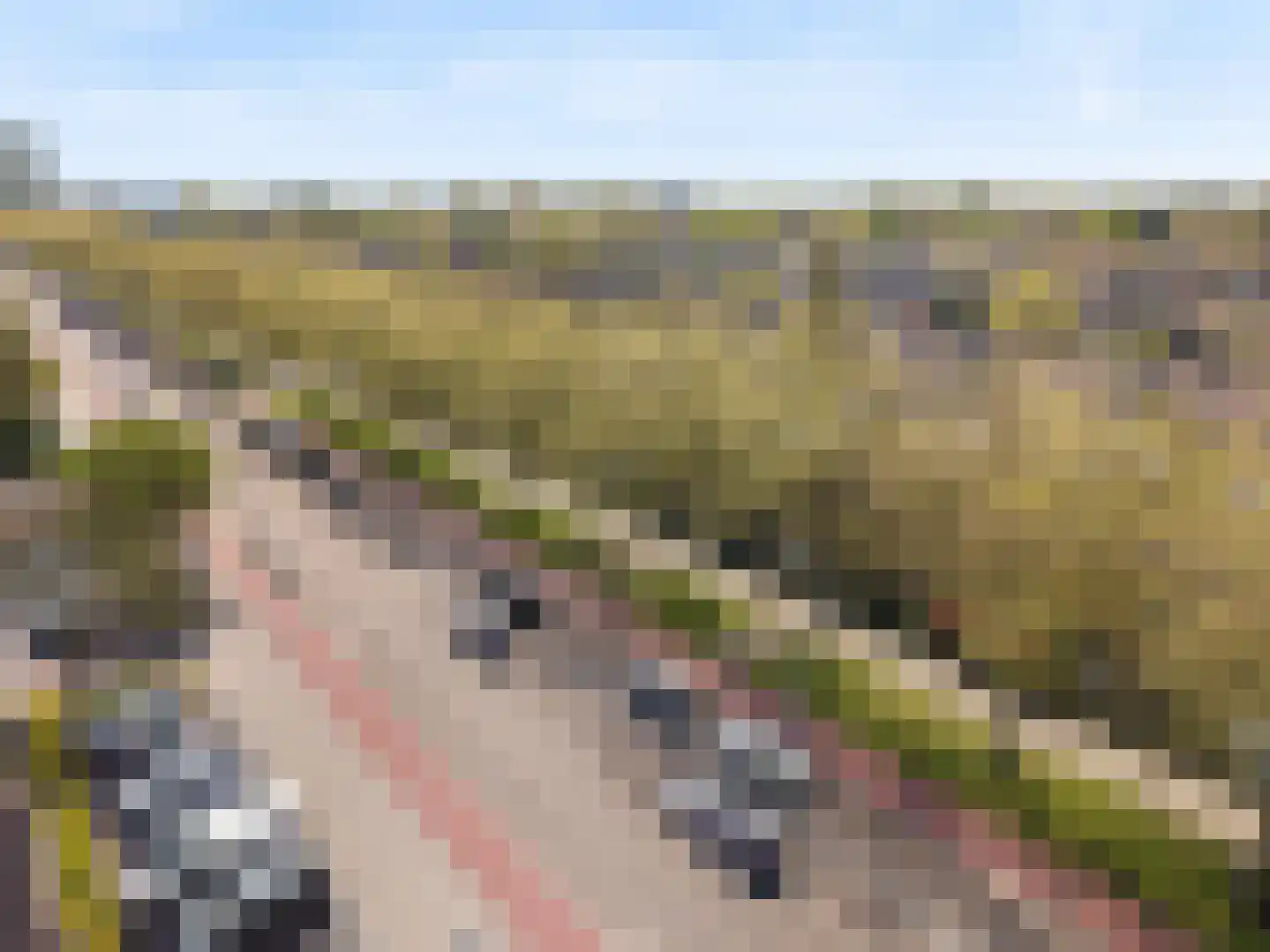 Graan voor Visch 18044 Hoofddorp thumbnail 35