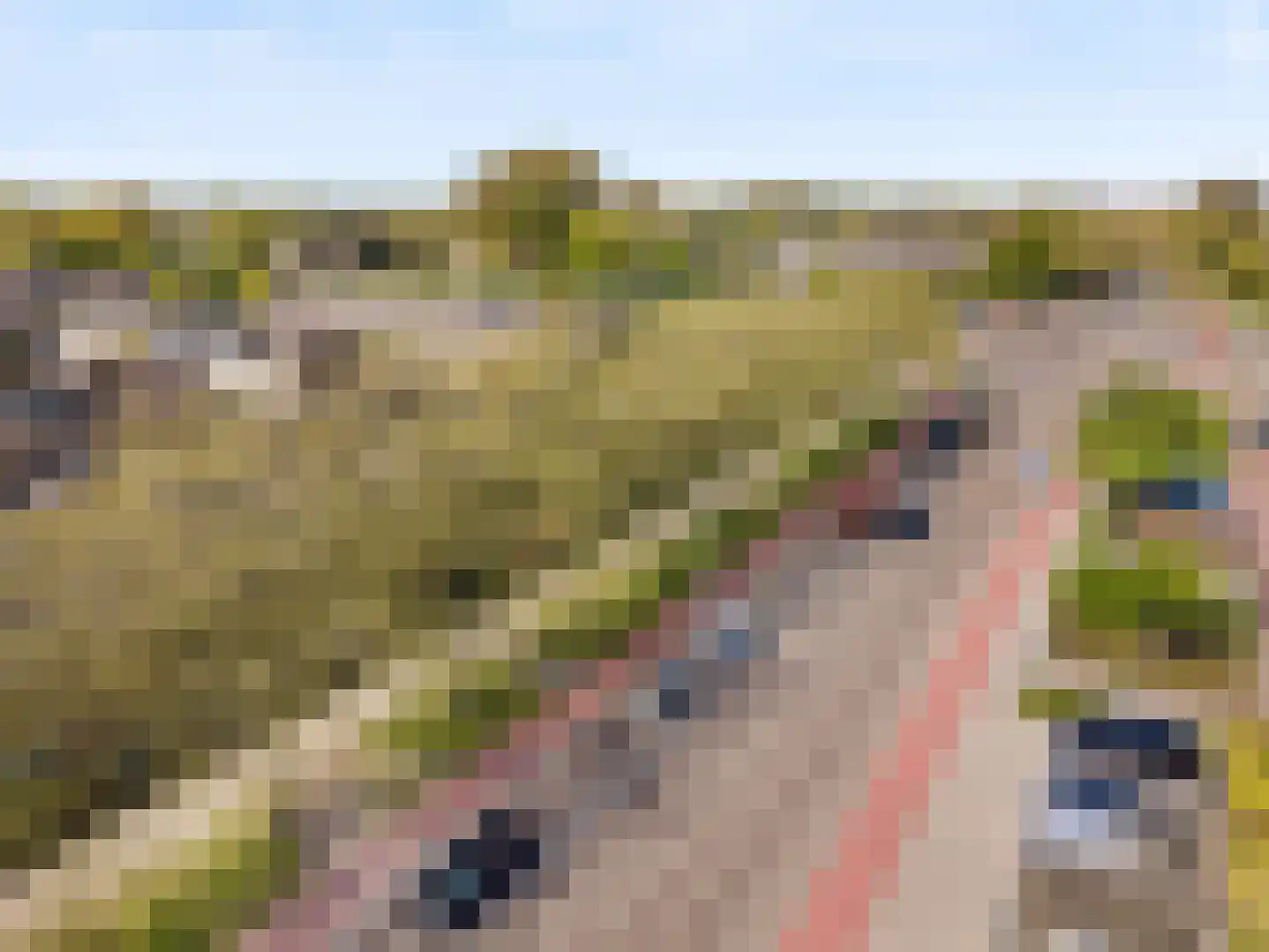 Graan voor Visch 18044 Hoofddorp thumbnail 36