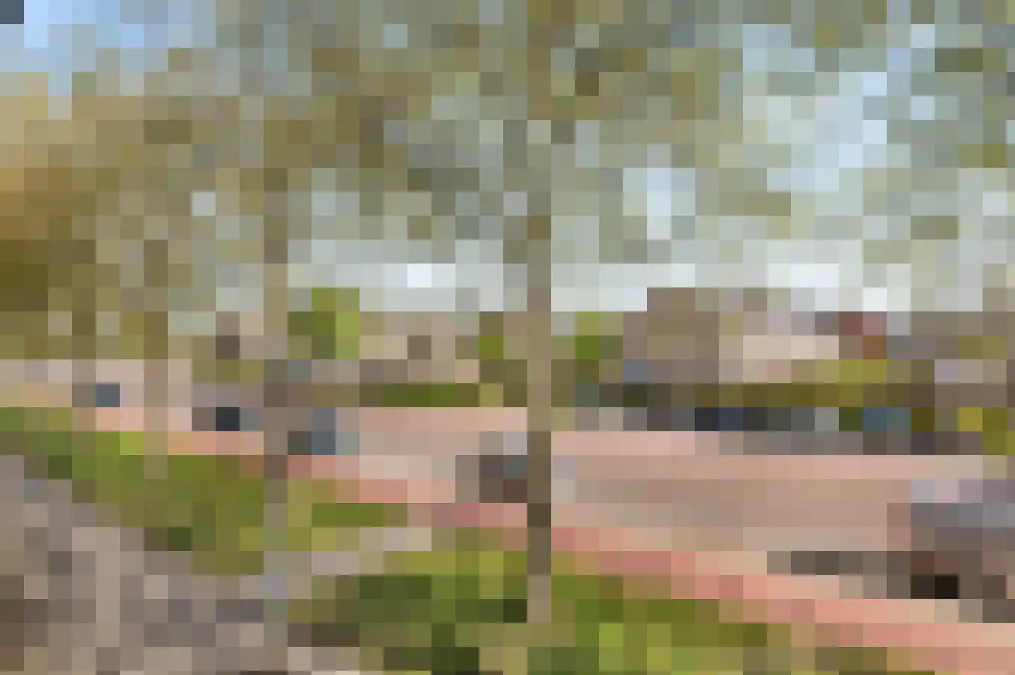 Graan voor Visch 18044 Hoofddorp thumbnail 37