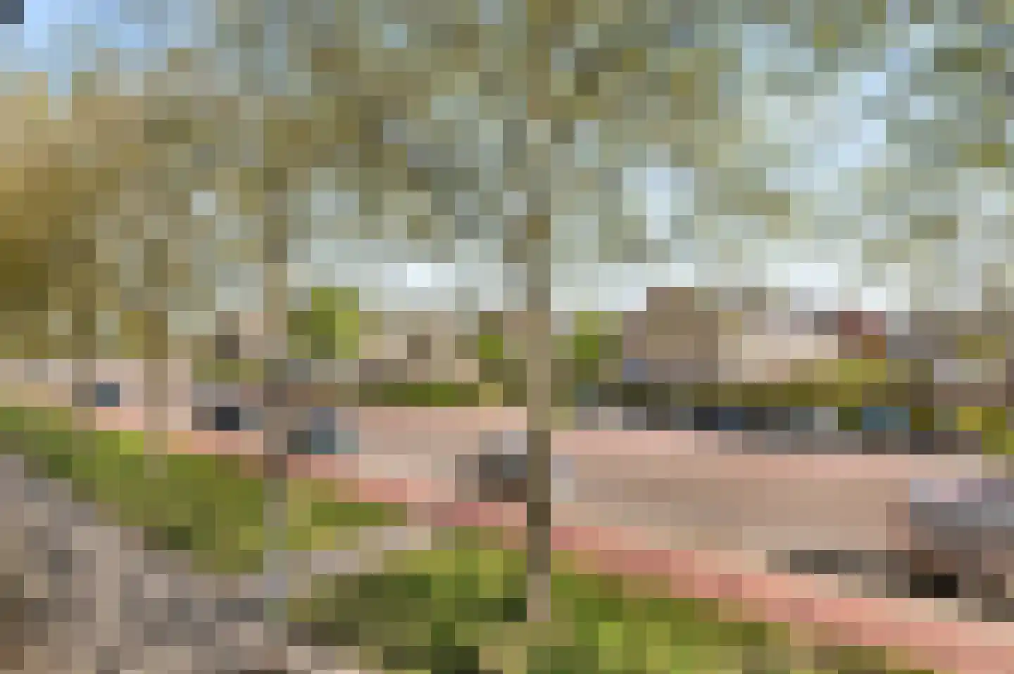 Graan voor Visch 18044 Hoofddorp thumbnail 37