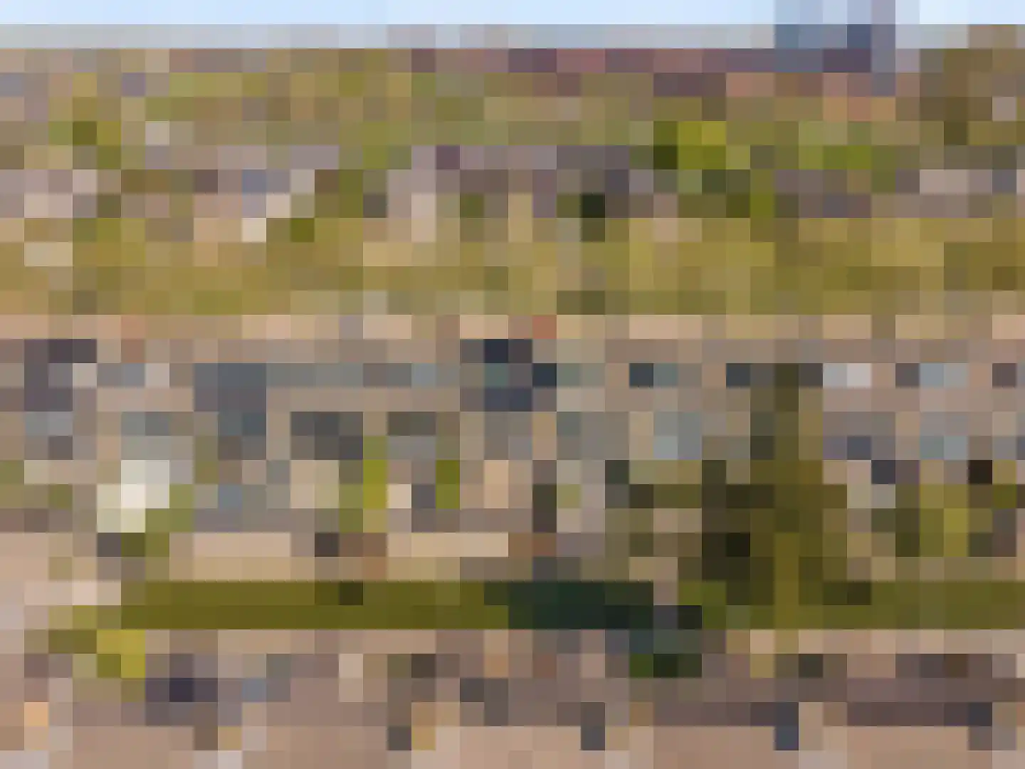 Graan voor Visch 18044 Hoofddorp thumbnail 7