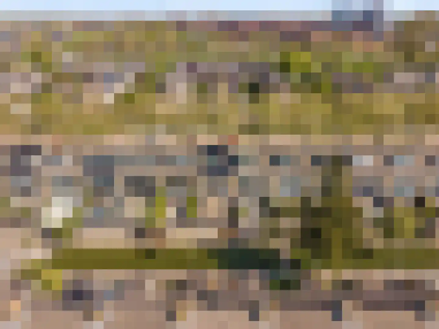 Graan voor Visch 18044 Hoofddorp thumbnail 7