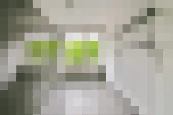 Graan voor Visch 18048 Hoofddorp thumbnail 13