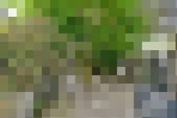 Graan voor Visch 18048 Hoofddorp thumbnail 21