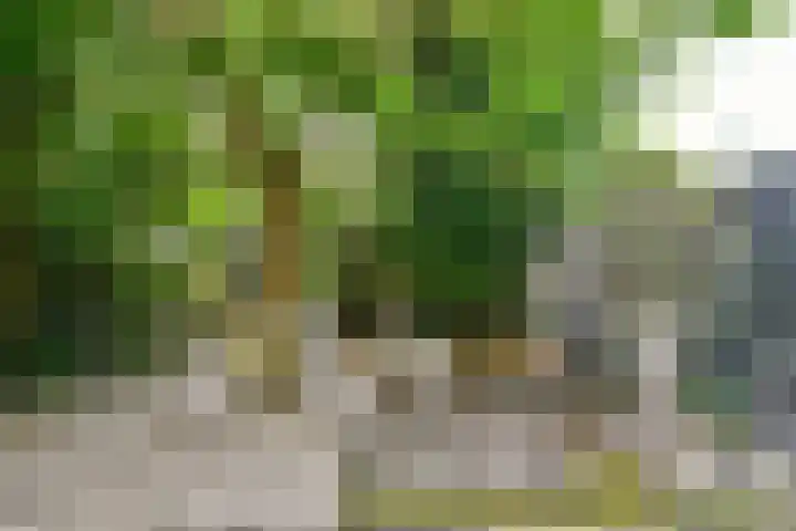Graan voor Visch 18048 Hoofddorp thumbnail 22