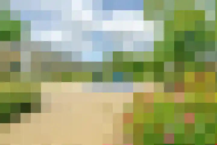 Graan voor Visch 18048 Hoofddorp thumbnail 24