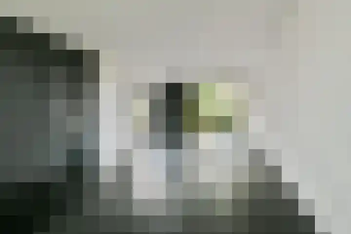Graan voor Visch 18048 Hoofddorp thumbnail 5