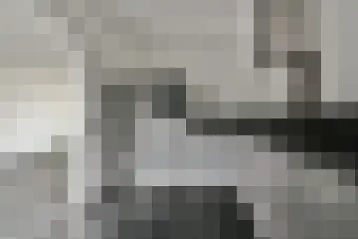 Graan voor Visch 18048 Hoofddorp thumbnail 8