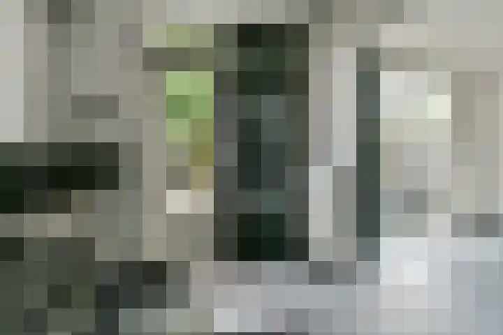 Graan voor Visch 18048 Hoofddorp thumbnail 9