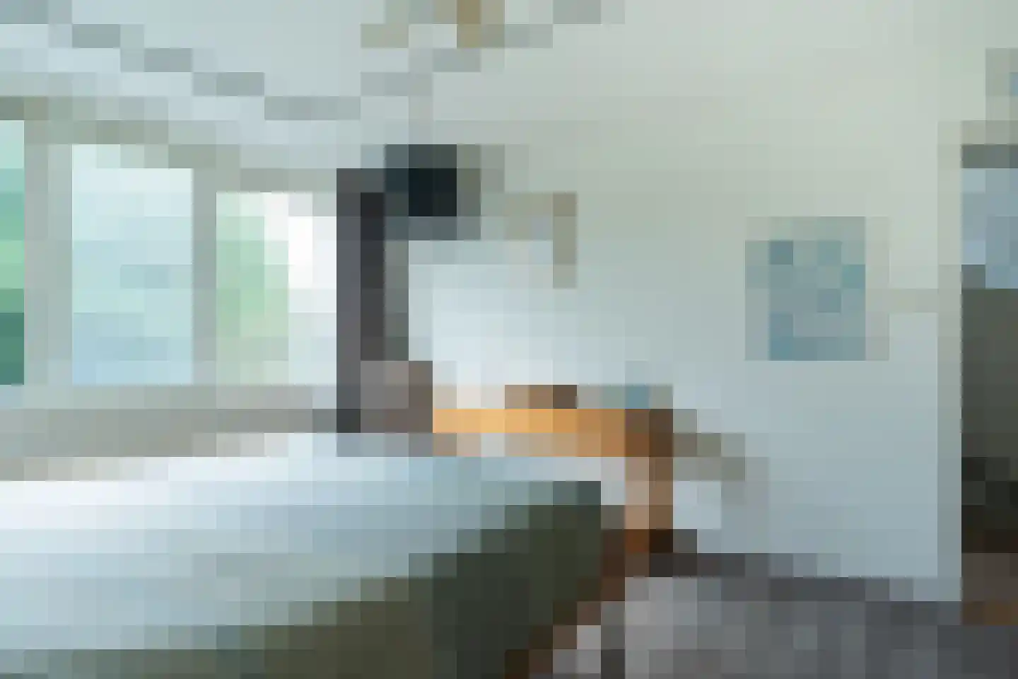 Graan voor Visch 18106 Hoofddorp thumbnail 28